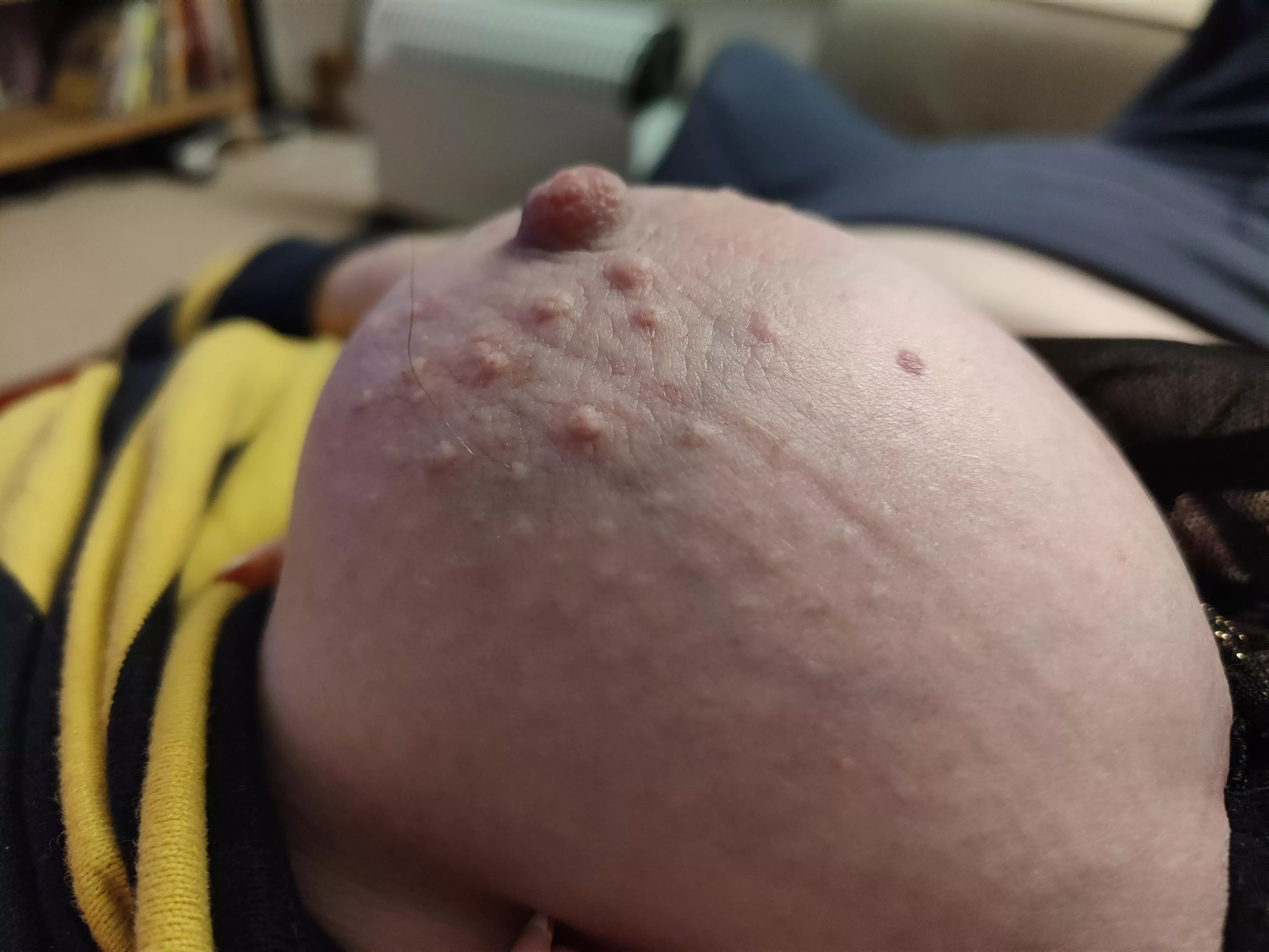 [51F]ind they always become perky when they know they're appearing in this sub