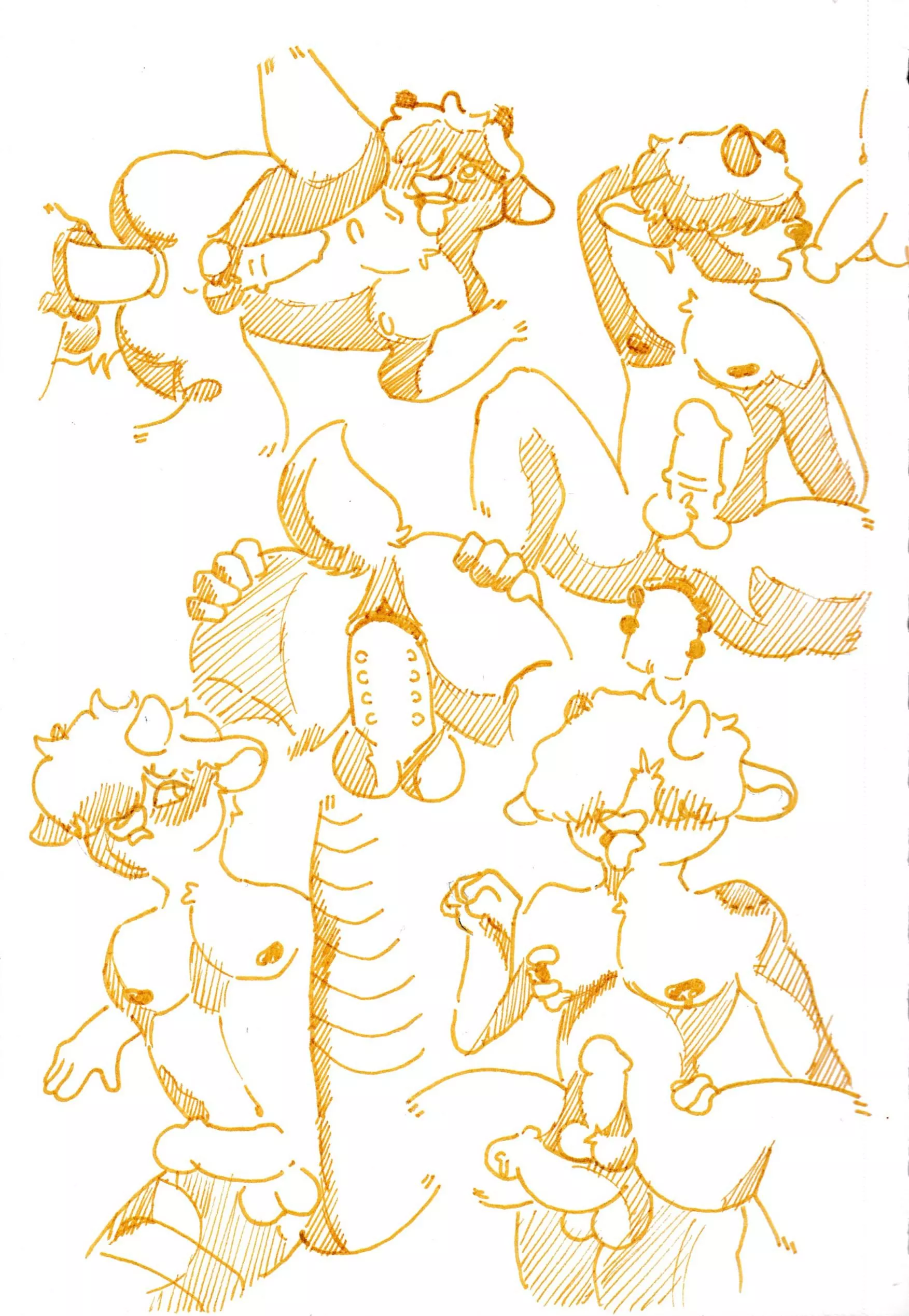 a little show off. (flynnmoo)