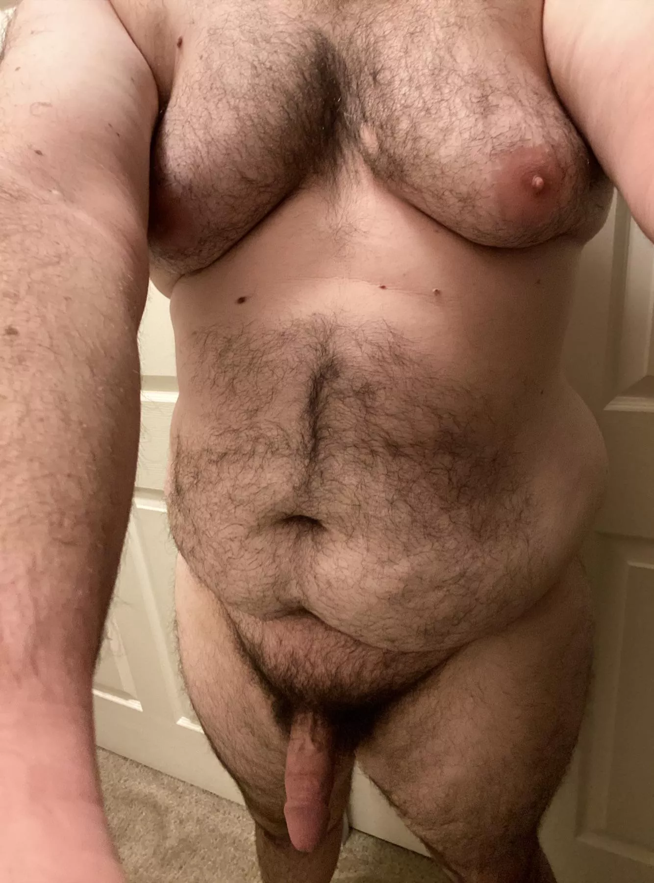 Anybody looking for a big, cuddly teddy bear? 😉