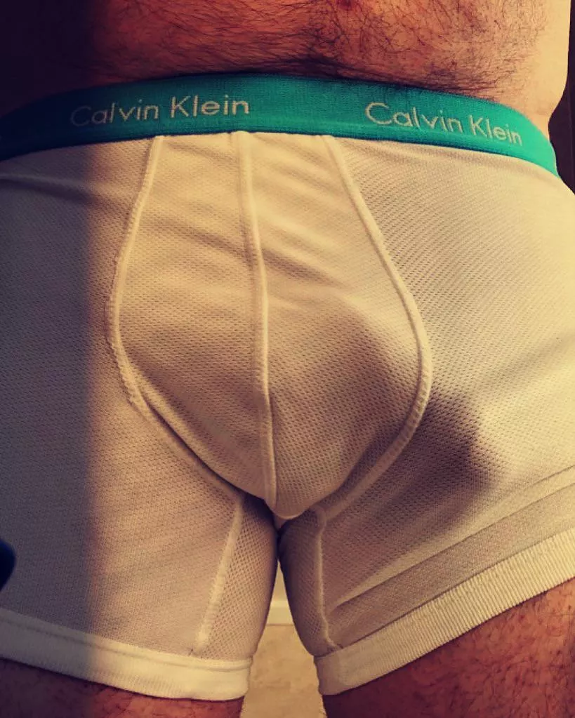 Daddy (44) bulge…..any one want my used boxers?😈❤️