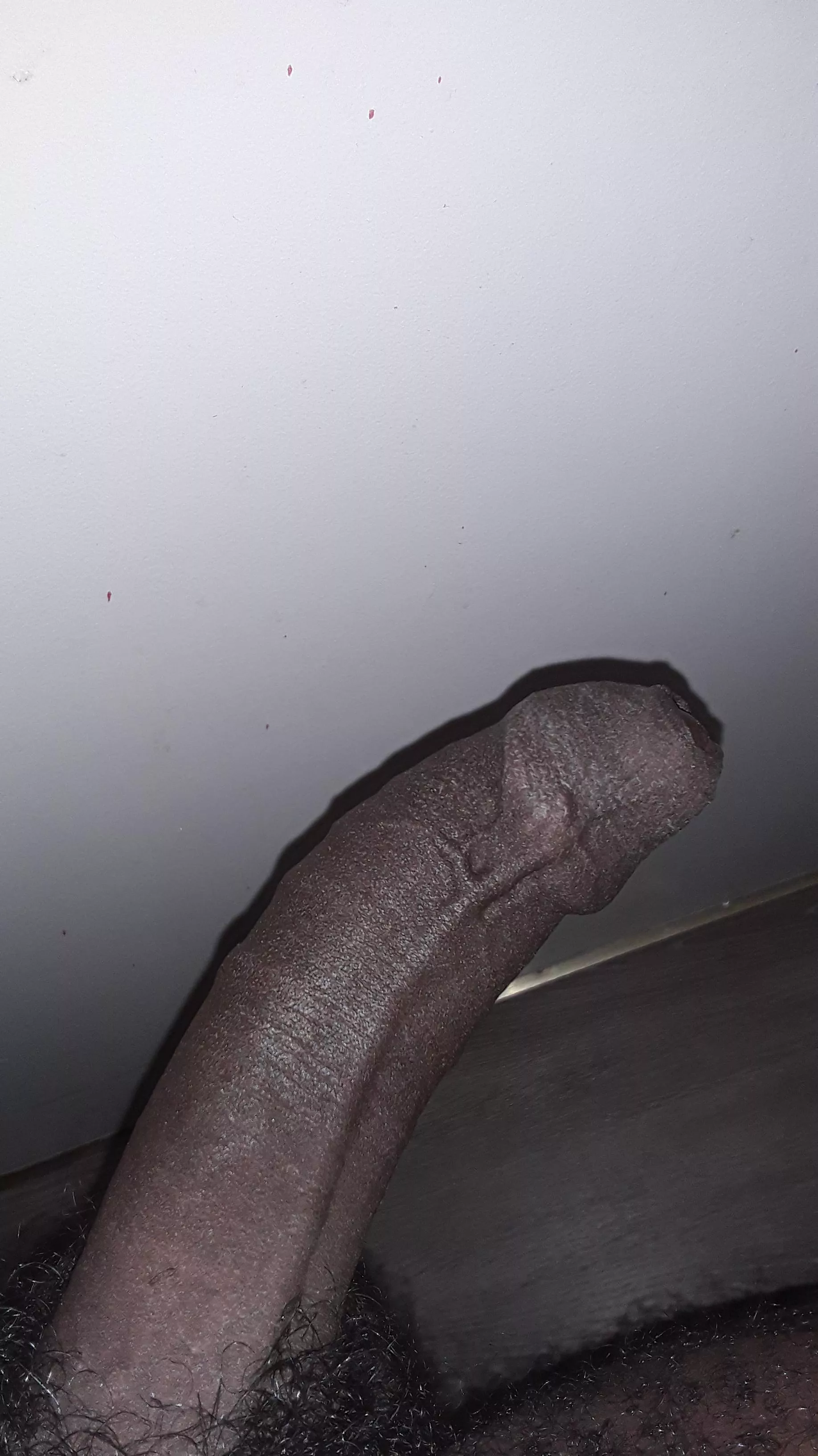 everyone who likes i have to fuck