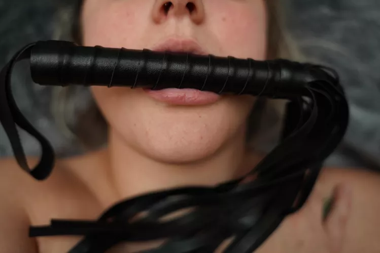 gag me with the flogger