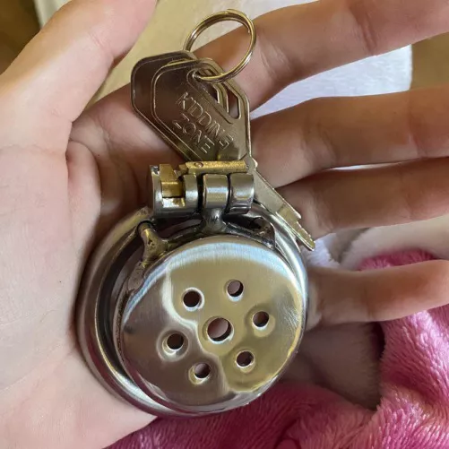 Got a new chastity cage for one of my mutts 😈