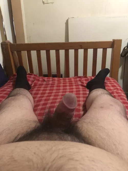 Hairy chubby latino 27m looking to jerk with any chasers 18+ and must be down for live video call