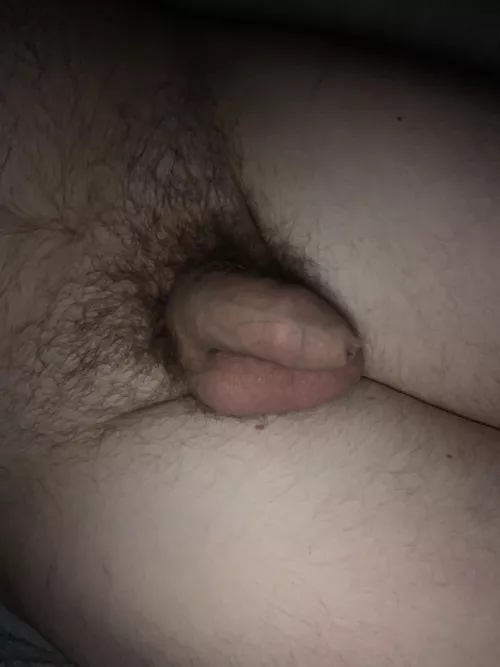 I can’t sleep, look at my limp dick