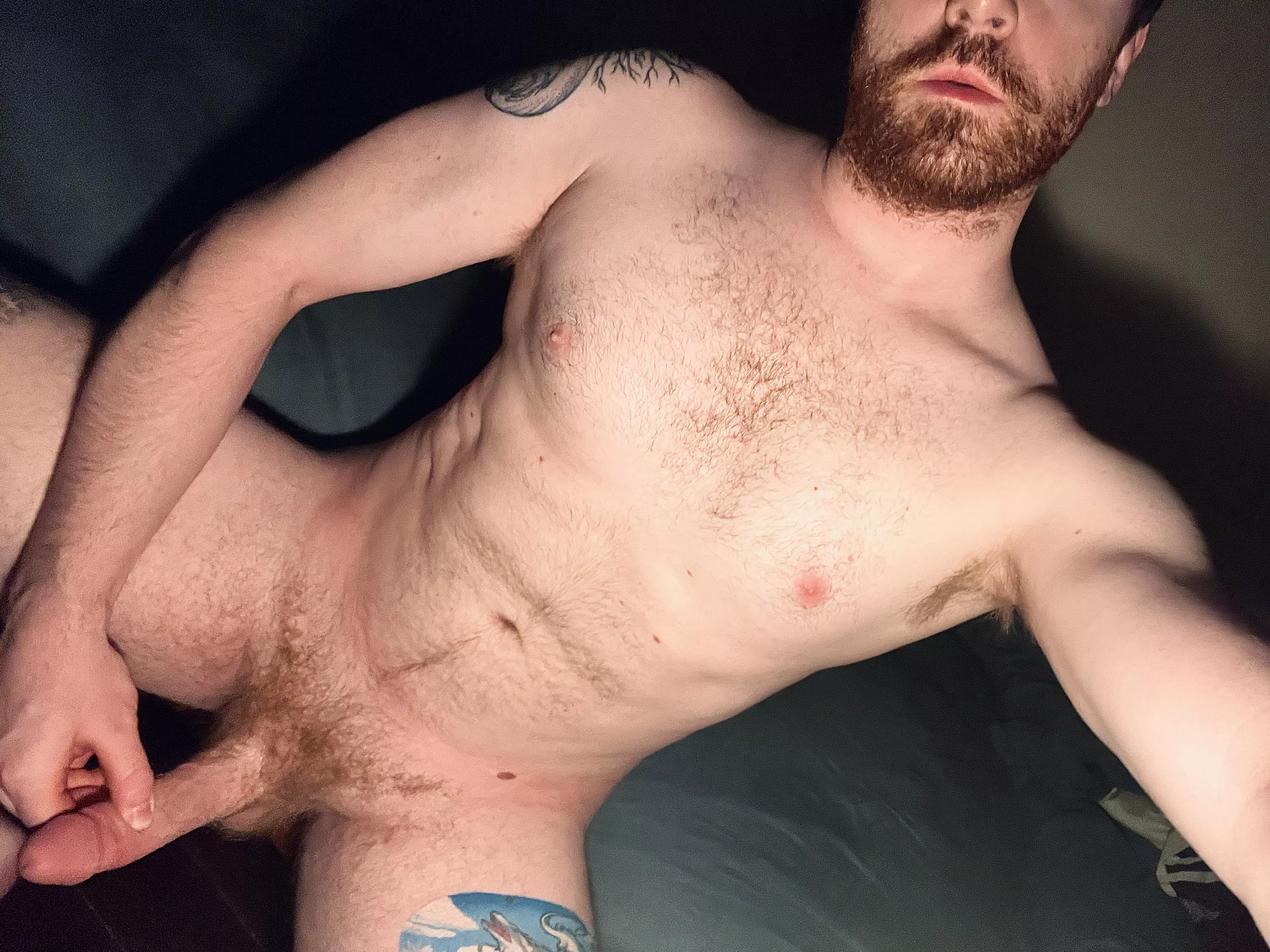 Just dropping by to deliver your ginger fix!