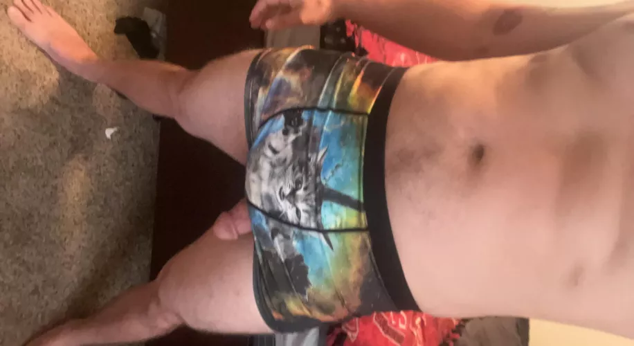 Loving these new space kitty undies