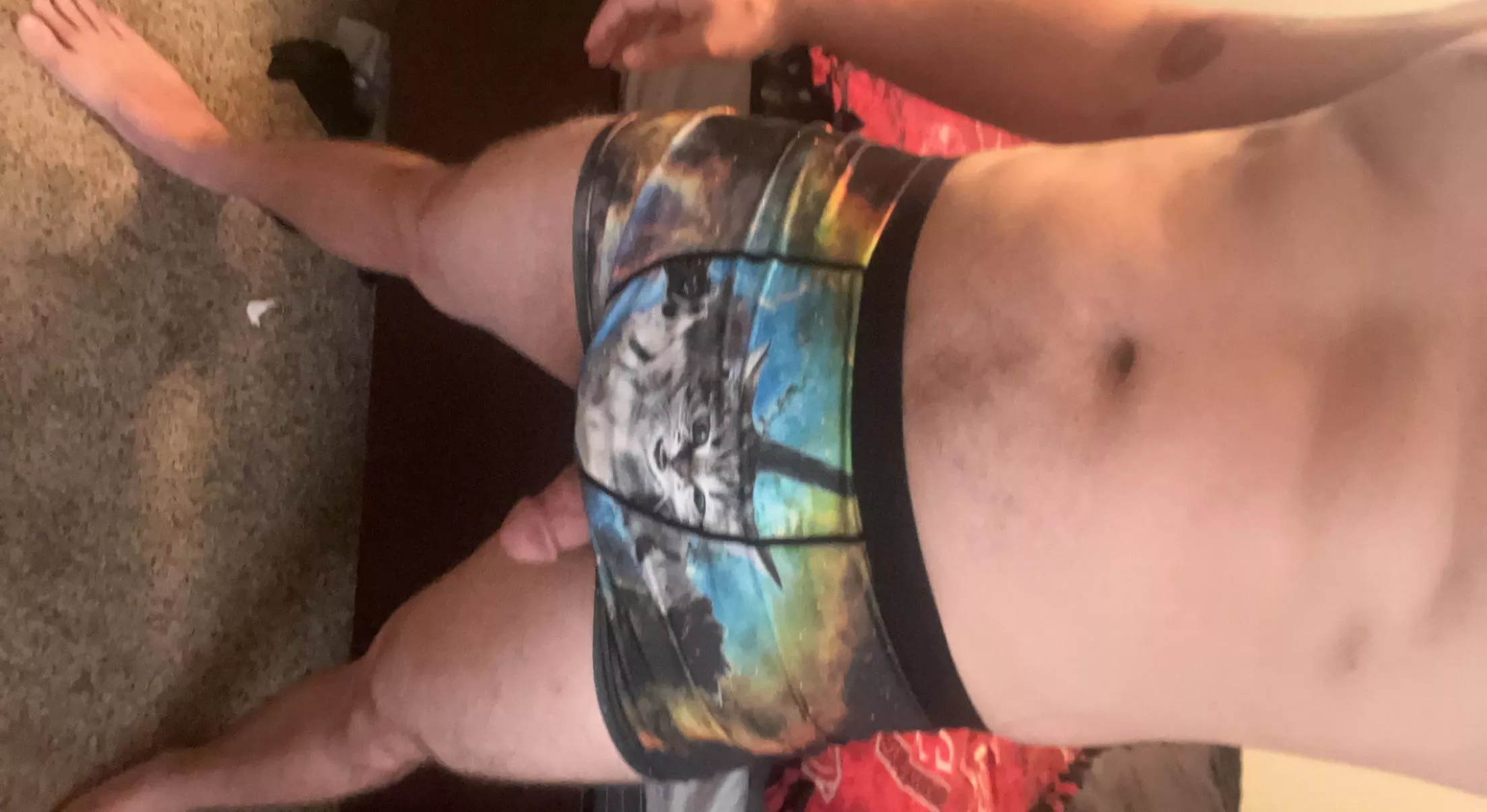 Loving these new space kitty undies