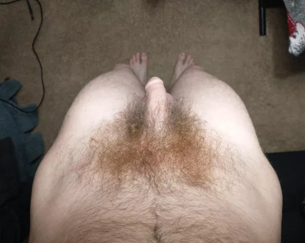 most pubes I've ever had 😳