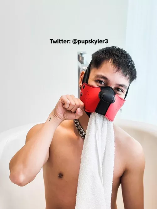 Need a towel? 🐶🐾