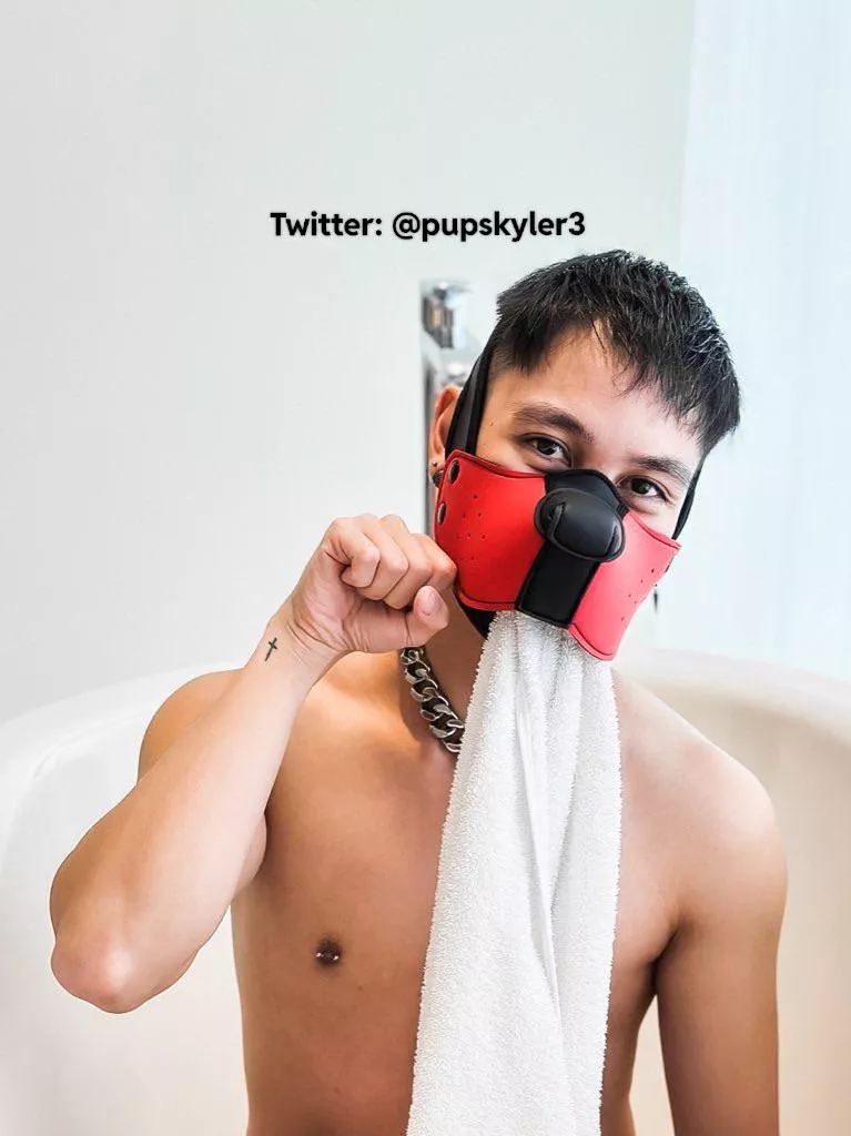 Need a towel? 🐶🐾