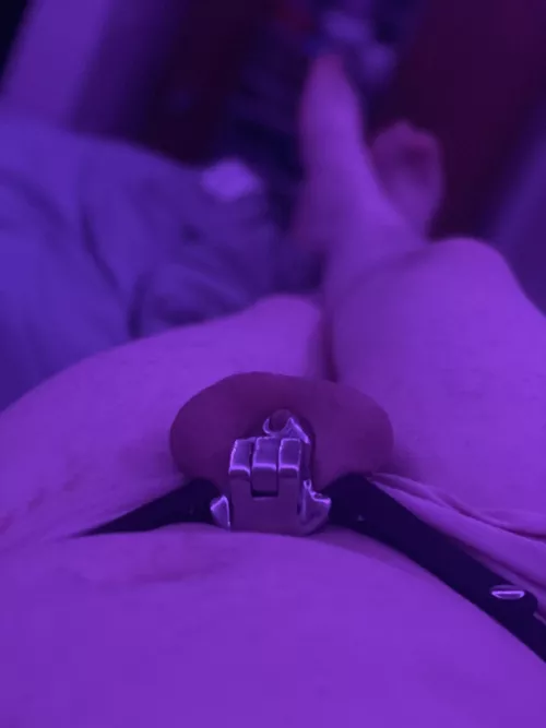 New cage makes me feel like a good girl!