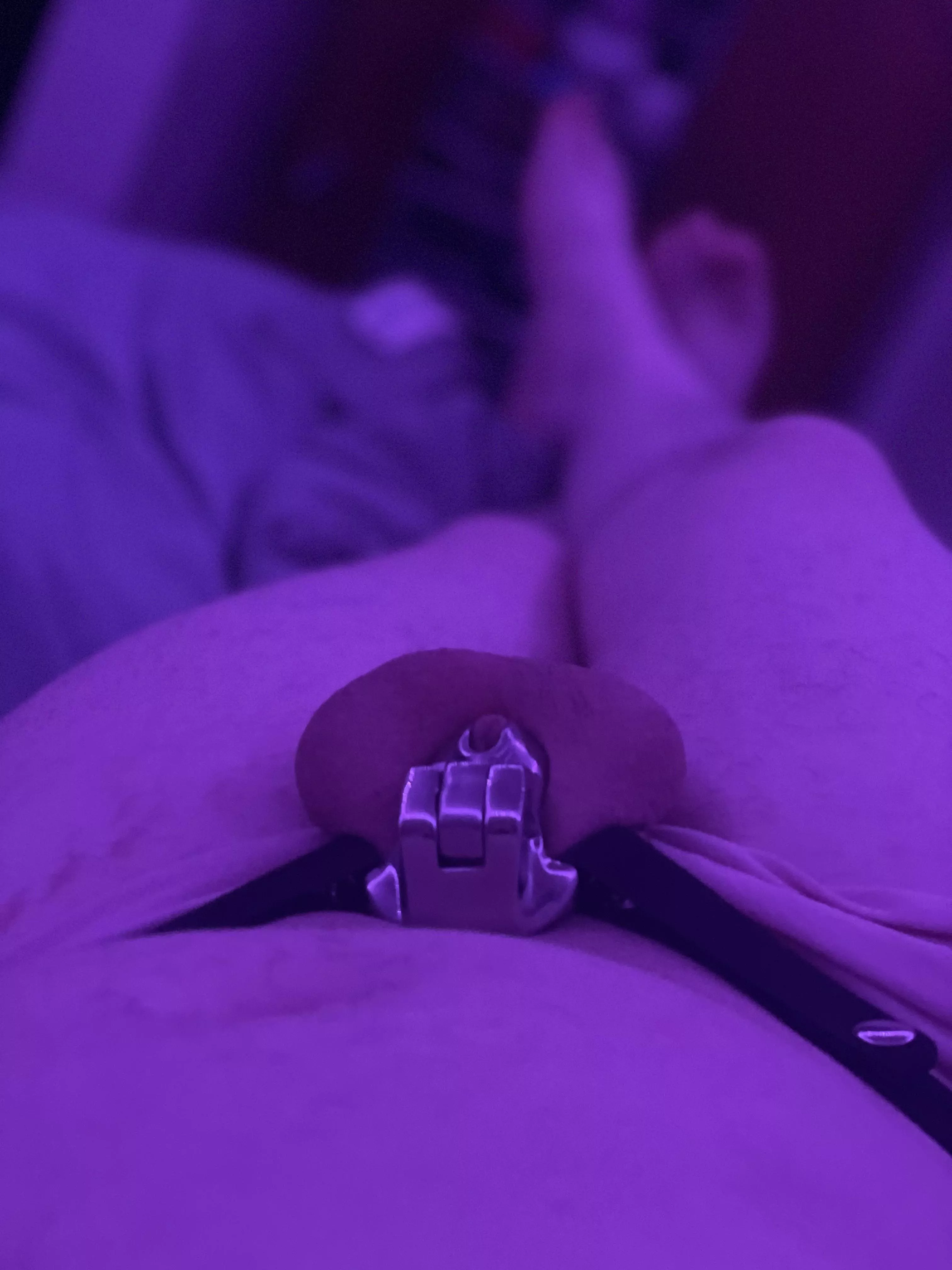 New cage makes me feel like a good girl!