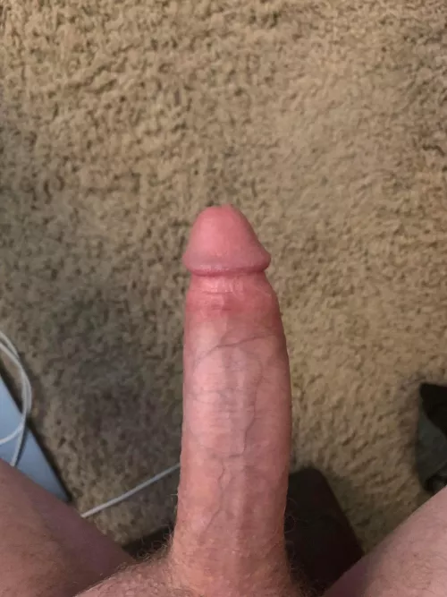 One more pic for y’all today