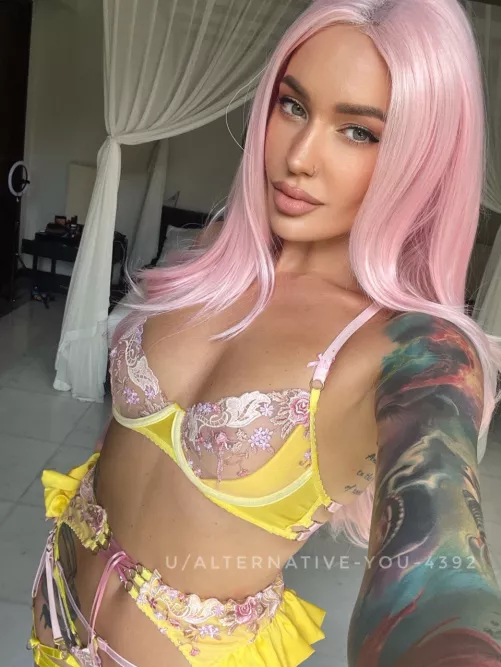 Pussy, ass tits what your favourite...