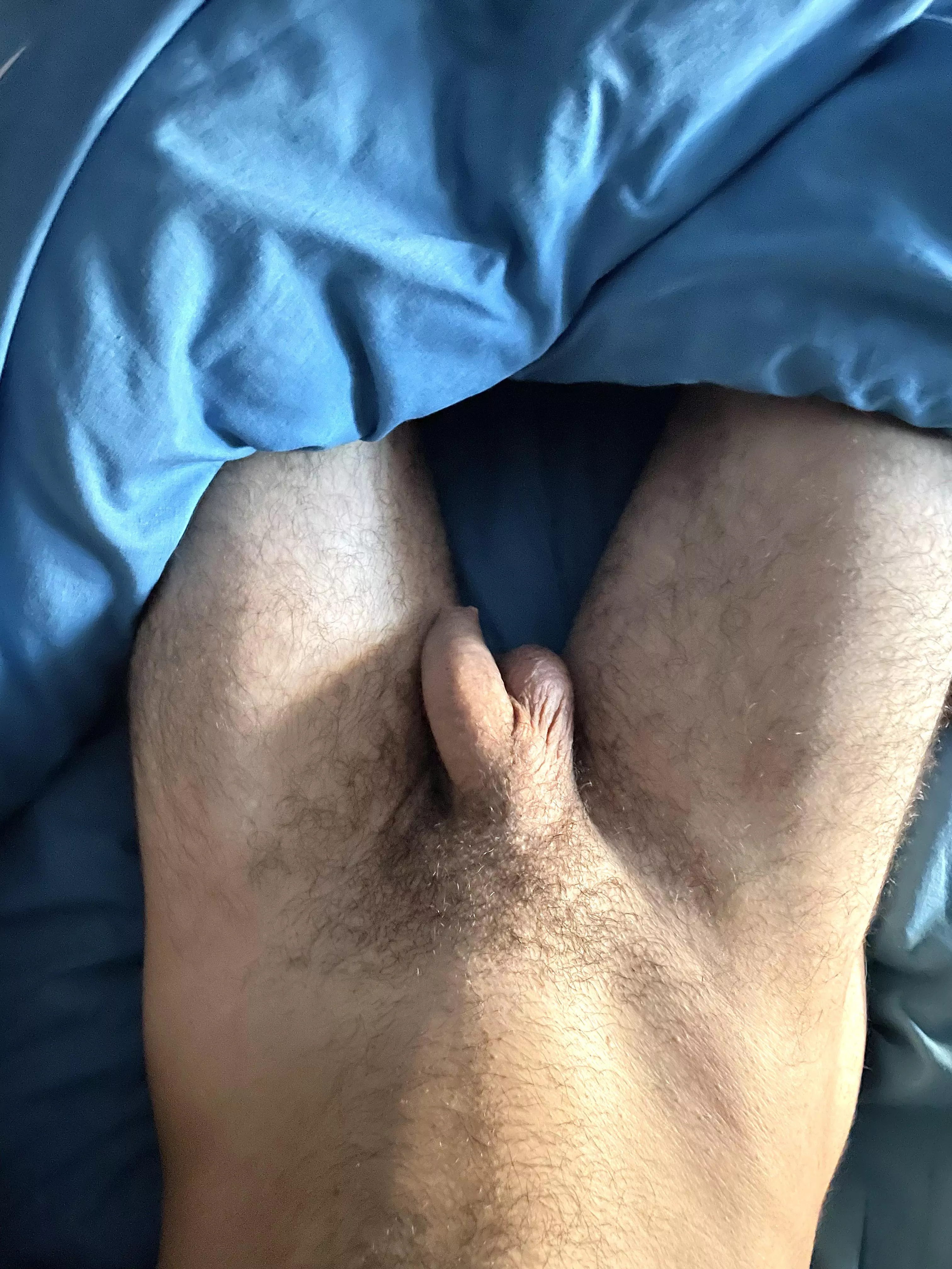 Say gm to the little one (23)