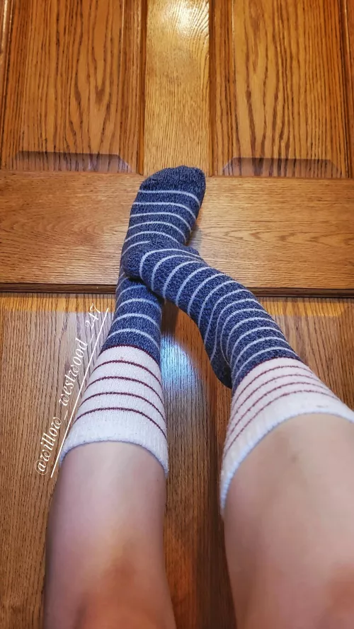 The softest striped socks!