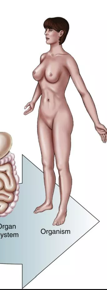 The women in my new textbook are STACKED