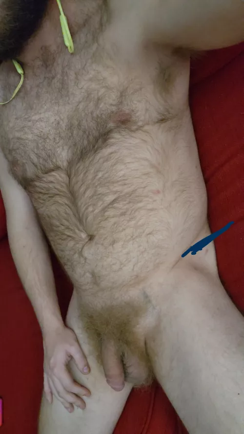 time to shave or keep it?