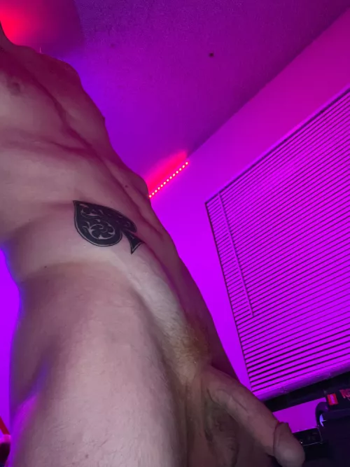 Want to play with it?