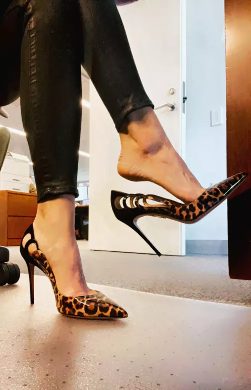 Welcome to the jungle 🖤🐆