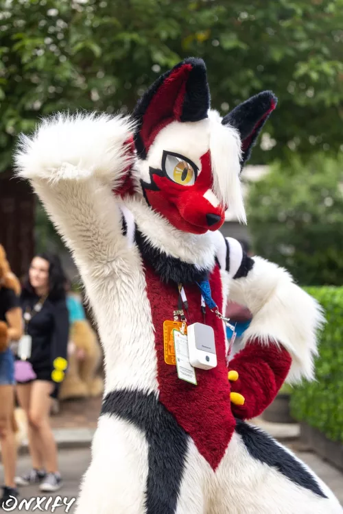 why hello there~ (Pic by Tenn)