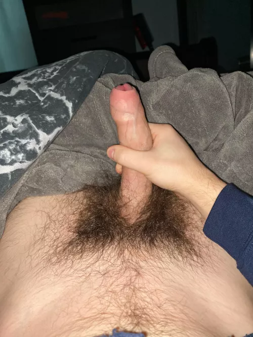 18 dms open