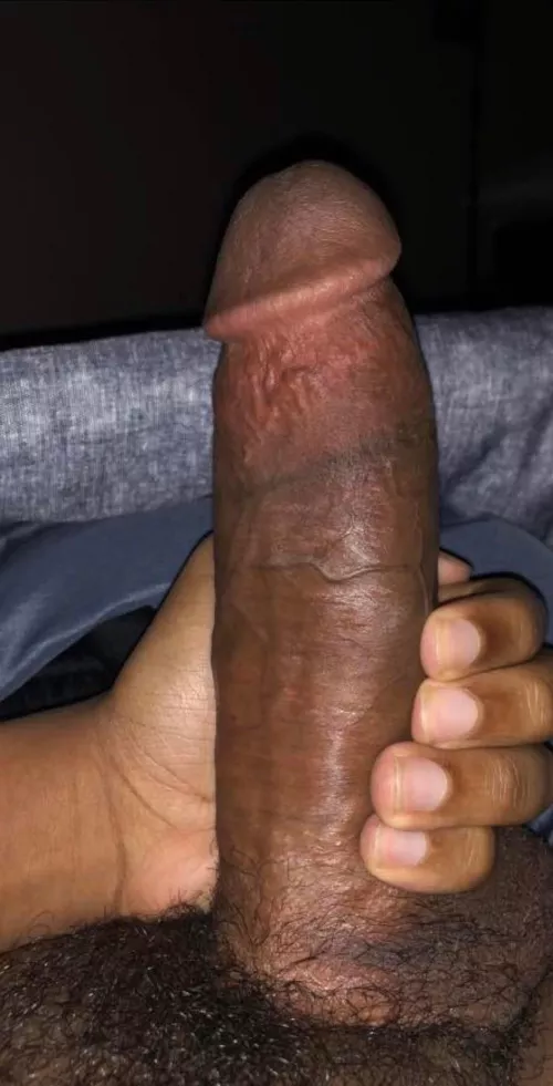 23 m looking for college bros, BWC, or dilfs add my snap: richjay002