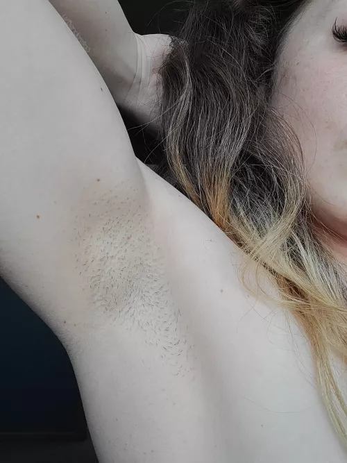 3rd Day Prickles🪒