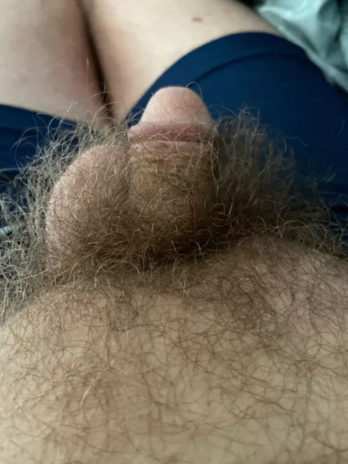 47 yo guy here soft atm. Always furry.