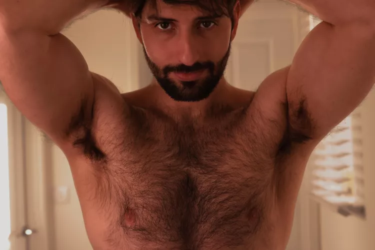 A 4K shot of my chest hairs