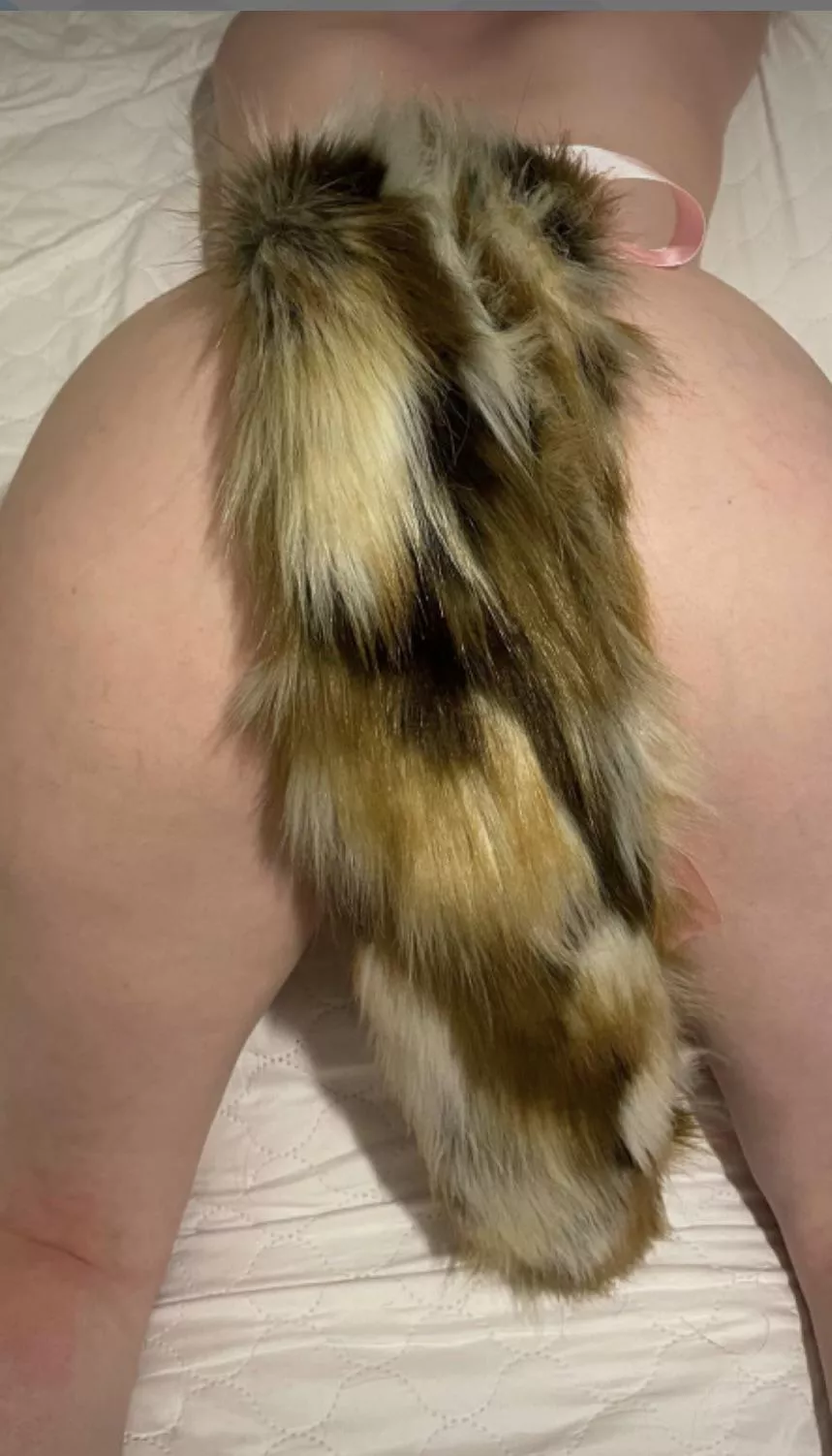 Any ladies here want to pull my tail come play with me 😻😼