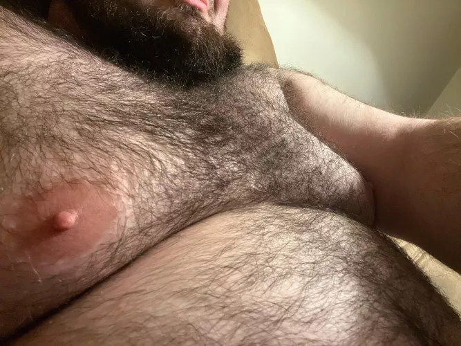 Any ladies like to run their fingers through this furry chest while he pulls you in close?