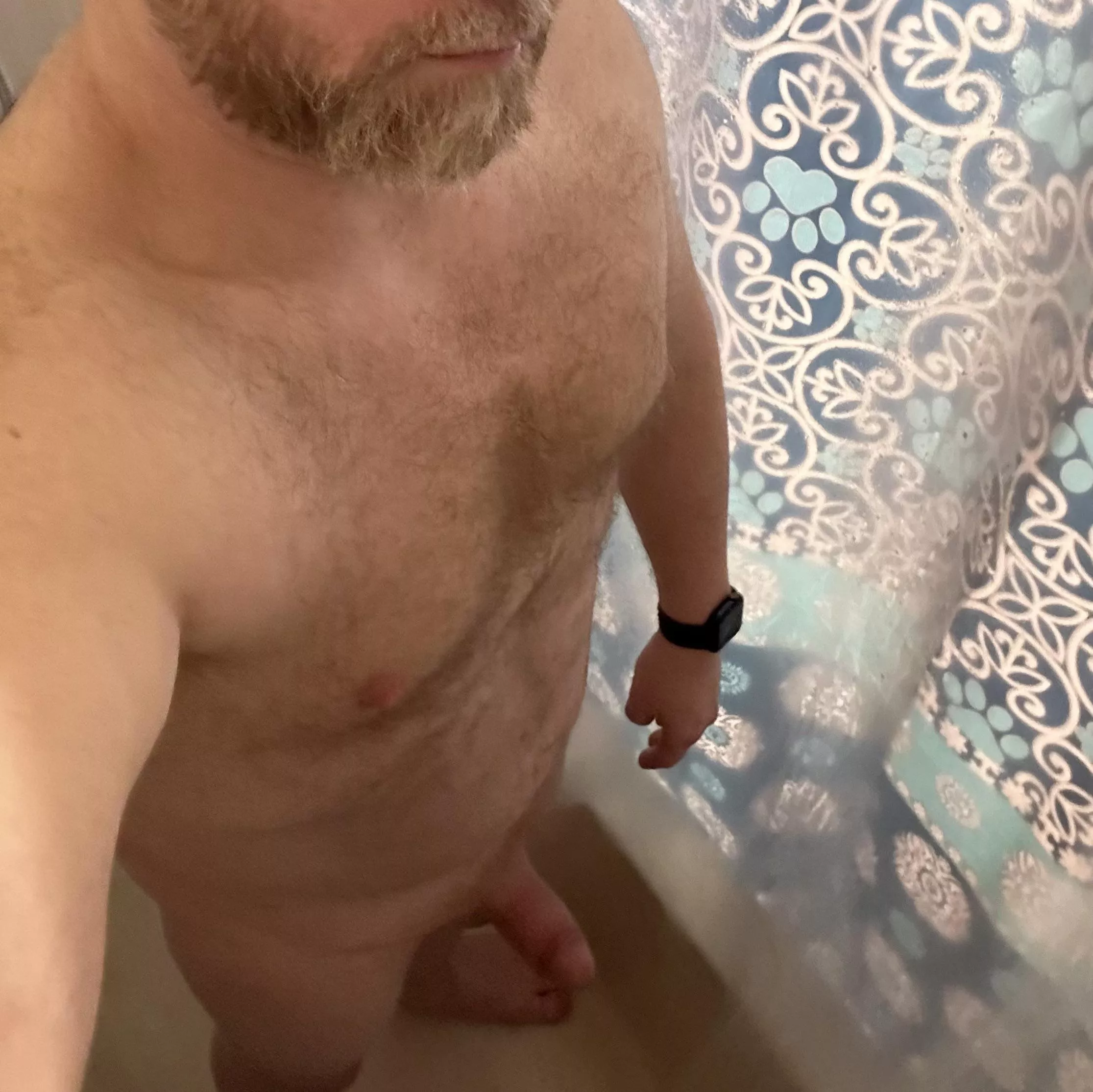 Bearded Daddy Shower Boner