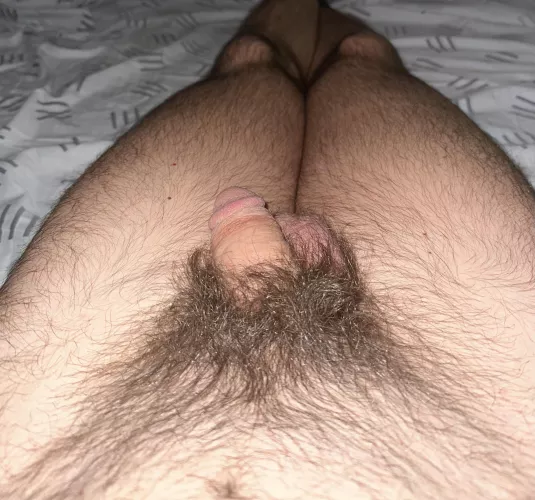 Been awhile since trimmed…. Thinking about trimming