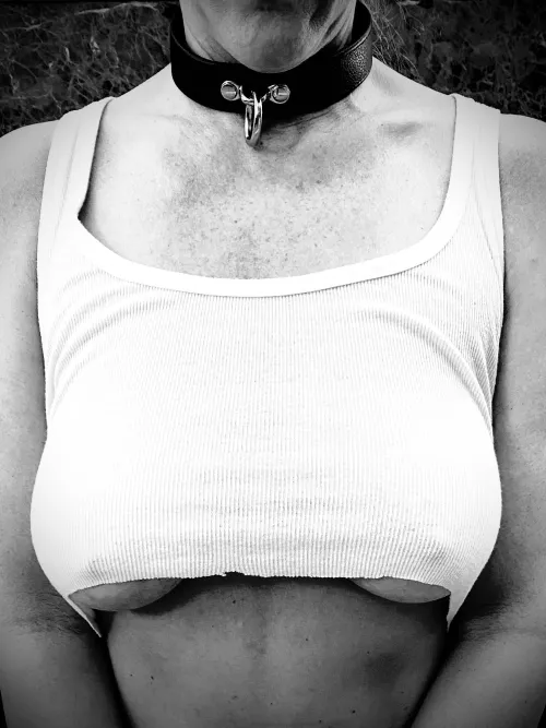 Collared and waiting….