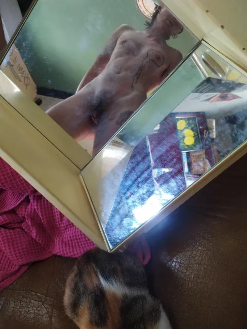 Found this mirror thrown away [25nb]