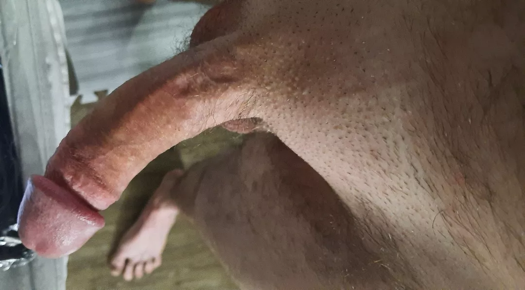 horny after a long day m41