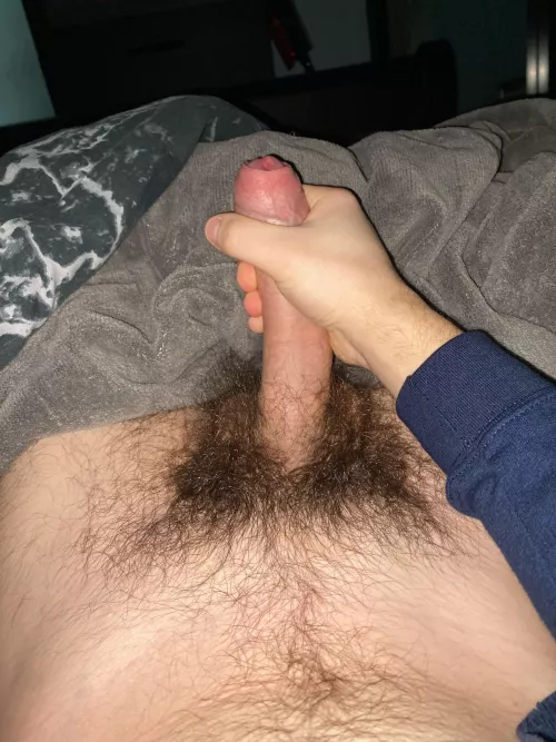 Horny again