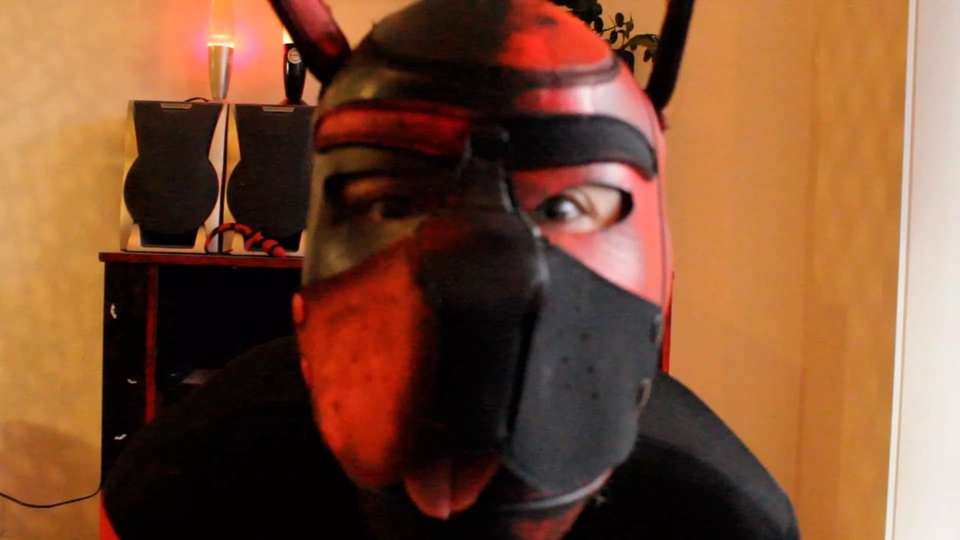 I am totally new and confused but come sniff https://linktr.ee/igoorpuppy