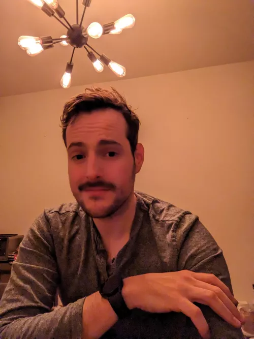 I only feel slightly bad about my late night A&W purchase