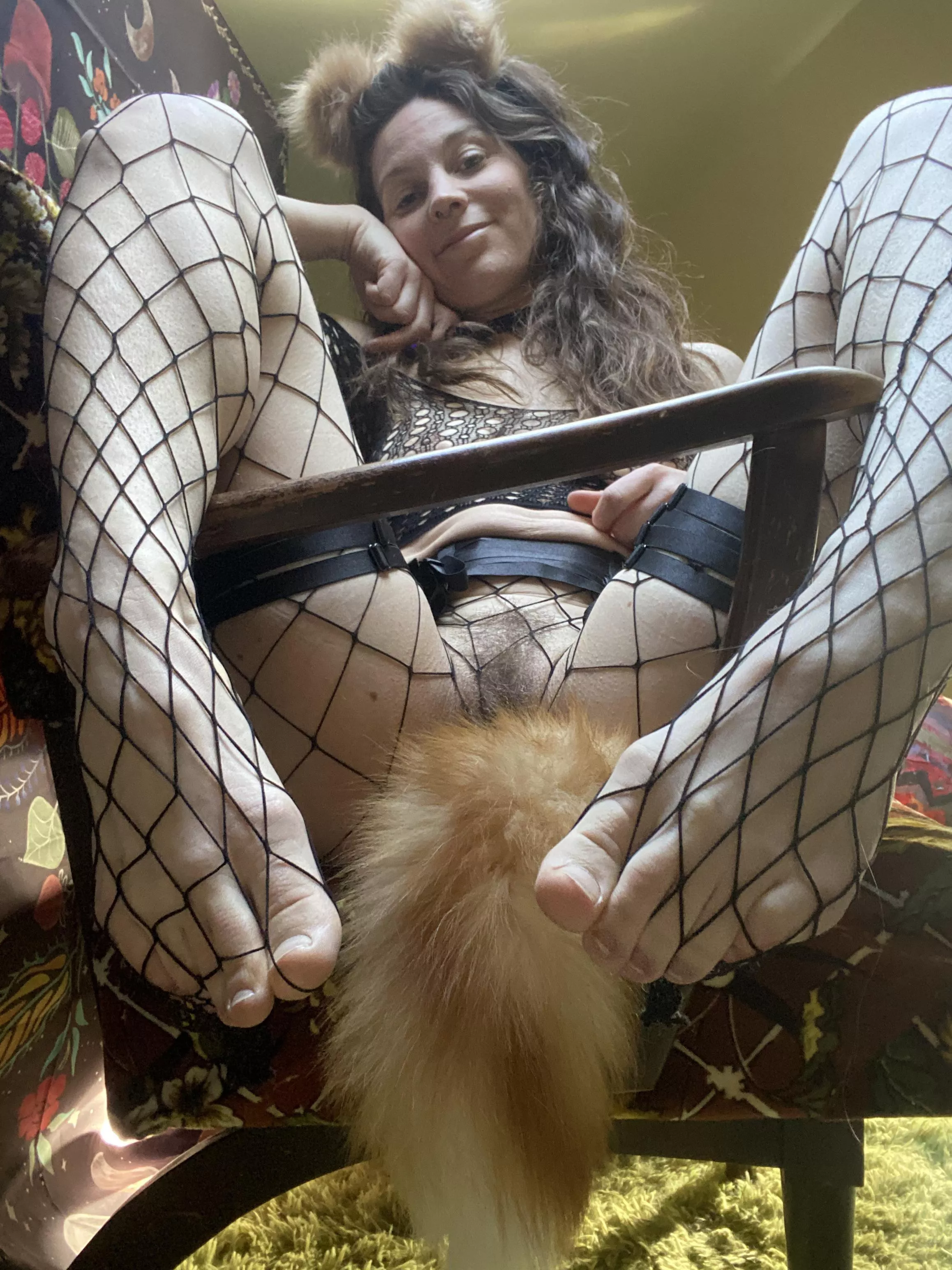 I took fox pics all day