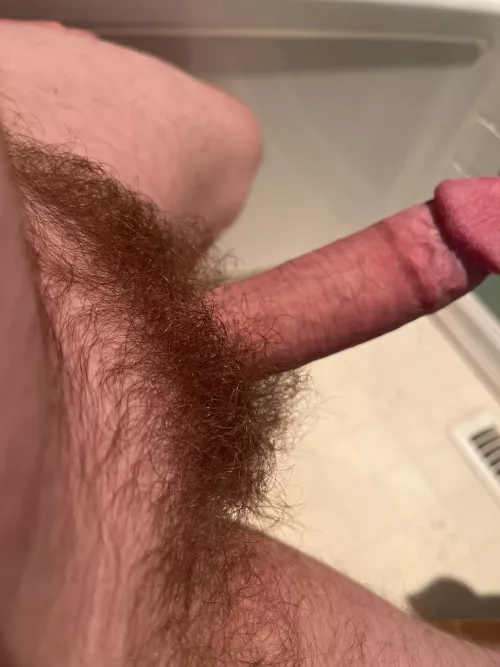 I want an even bigger bush