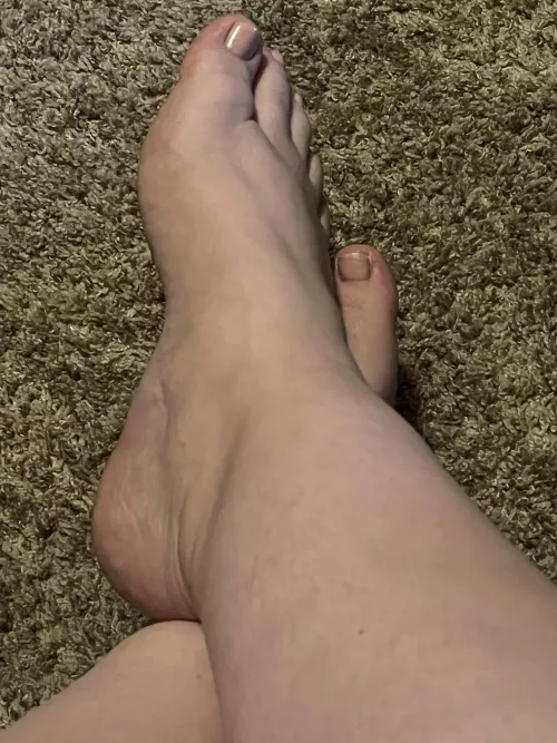 I want my paypig funded pedicure appreciated. You want to lick and worship my big beautiful feet don’t you, little beta?