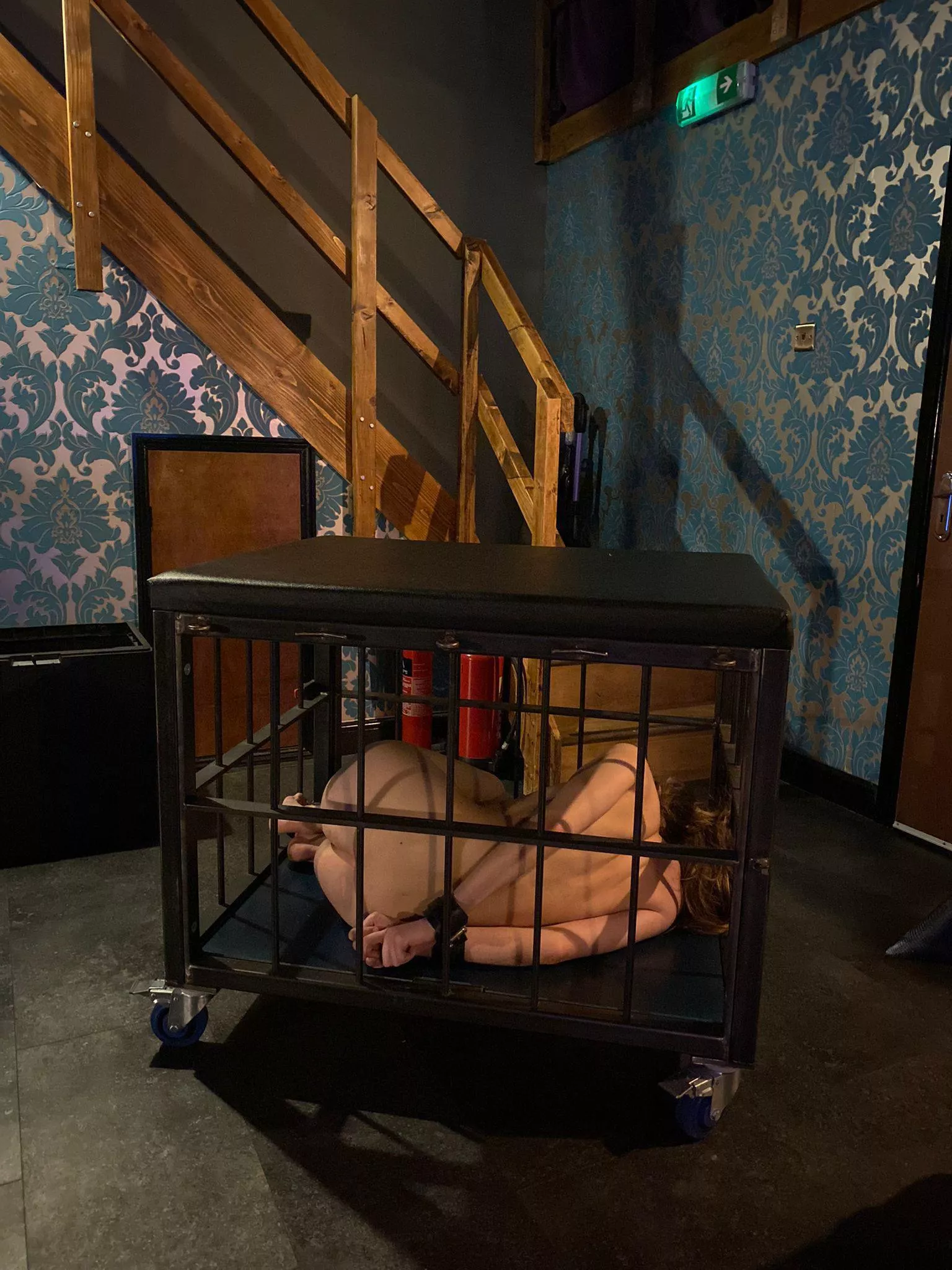 Locked up for the night (OC)