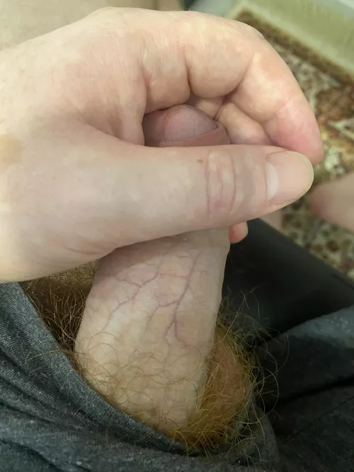 Look at this ginger soft cock