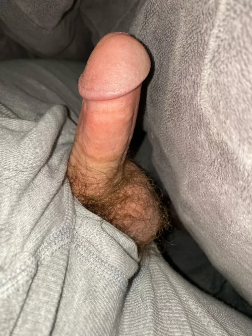 M females does size matter ?