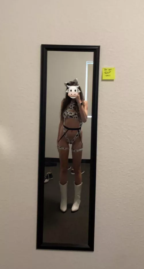 More of this content coming soon🐮