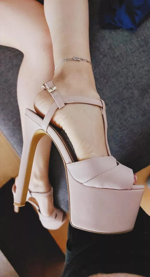 More pics of my new heels 😻 (oc)
