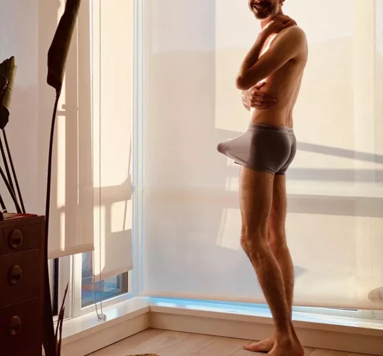 Morning wood and sunrise